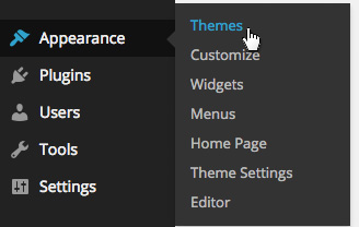 Appearance > Themes