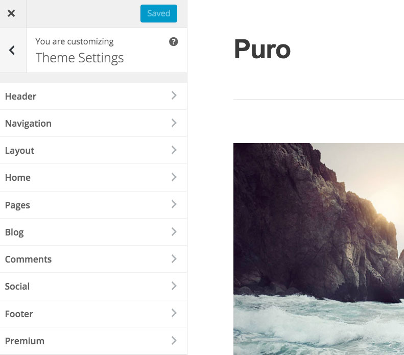 puro-theme-settings